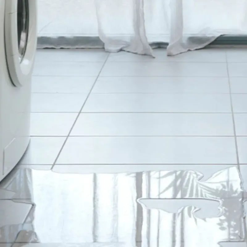 Appliance Leak Cleanup in Girard, OH