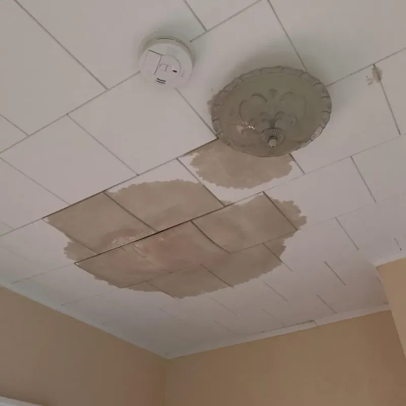 Ceiling Water Damage Repair in Girard, OH