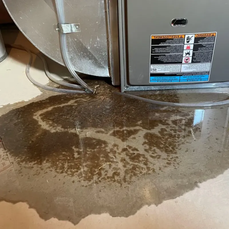 Pipe Burst and Leak Restoration in Girard, OH
